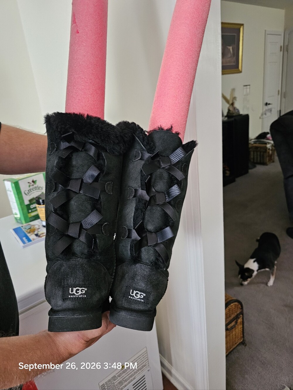 Uggs Black Women’s Fur Lined Bailey Bows Boots